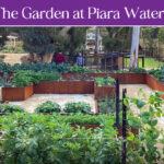 The Garden at Piara Waters