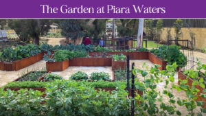 The Garden at Piara Waters